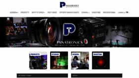 What Panatronics.com website looked like in 2020 (4 years ago)