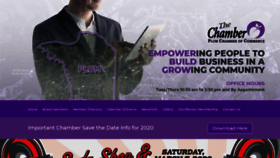 What Plumchamber.com website looked like in 2020 (4 years ago)