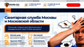 What Profi-ses.ru website looked like in 2020 (4 years ago)
