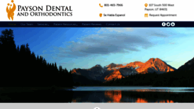 What Paysondental.com website looked like in 2020 (4 years ago)