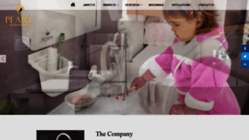What Pproducts.in website looked like in 2020 (5 years ago)