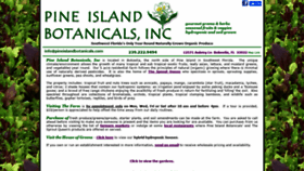 What Pineislandbotanicals.com website looked like in 2020 (4 years ago)