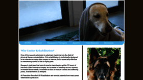 What Pawsitiveresultsk-9rehabilitation.com website looked like in 2020 (4 years ago)