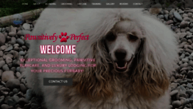 What Pawsitivelypetskalispell.com website looked like in 2020 (4 years ago)