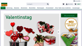 What Peijs.de website looked like in 2020 (4 years ago)