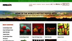 What Pepperjoe.com website looked like in 2020 (4 years ago)