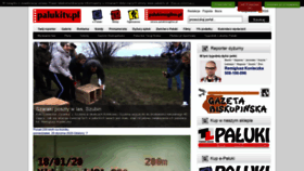 What Palukitv.pl website looked like in 2020 (4 years ago)