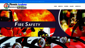 What Phoenixacademy.in website looked like in 2020 (4 years ago)