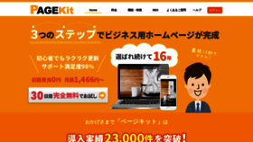 What P-kit.com website looked like in 2020 (4 years ago)