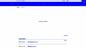 What Palget.com website looked like in 2020 (4 years ago)