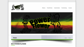 What Powerflower1.nl website looked like in 2020 (4 years ago)