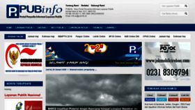 What Pubinfo.id website looked like in 2020 (4 years ago)