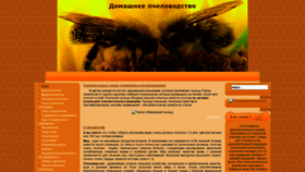 What Pcheli.org website looked like in 2020 (4 years ago)