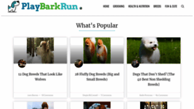 What Playbarkrun.com website looked like in 2020 (4 years ago)
