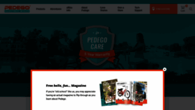 What Pedegoelectricbikes.com website looked like in 2020 (4 years ago)