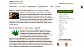 What Prawo-karne.info website looked like in 2020 (4 years ago)