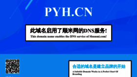 What Pyh.cn website looked like in 2020 (4 years ago)