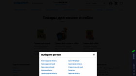 What Petochan.ru website looked like in 2020 (4 years ago)