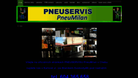 What Pneumilan.cz website looked like in 2020 (4 years ago)