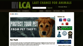 What Pettheft.com website looked like in 2020 (4 years ago)