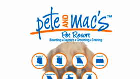 What Petemac.com website looked like in 2020 (4 years ago)