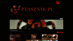 What Ptasznik.pl website looked like in 2020 (4 years ago)