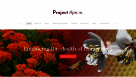What Projectapism.org website looked like in 2020 (4 years ago)
