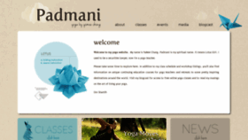 What Padmani.com website looked like in 2020 (4 years ago)