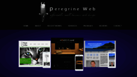What Peregrineweb.nz website looked like in 2020 (4 years ago)