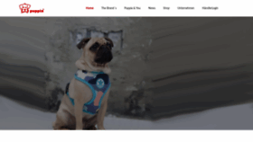 What Puppia.org website looked like in 2020 (4 years ago)