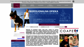 What Petsitter.pl website looked like in 2020 (4 years ago)