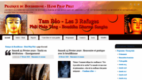 What Pagodethienminh.fr website looked like in 2020 (4 years ago)