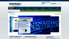 What Profroid.com website looked like in 2020 (4 years ago)