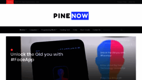 What Pinenow.com website looked like in 2020 (4 years ago)
