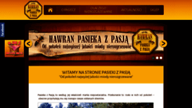 What Pasiekazpasja.pl website looked like in 2020 (4 years ago)