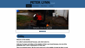 What Peterlynnhimself.com website looked like in 2020 (4 years ago)