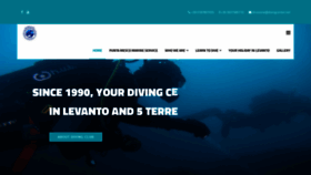 What Puntamescodiving.com website looked like in 2020 (4 years ago)