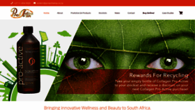 What Proactivesa.co.za website looked like in 2020 (4 years ago)