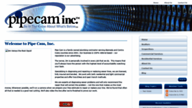 What Pipecaminc.com website looked like in 2020 (4 years ago)