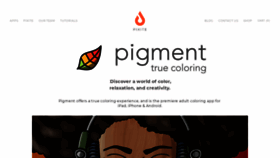 What Pigmentapp.co website looked like in 2020 (4 years ago)