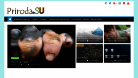 What Priroda.su website looked like in 2020 (4 years ago)