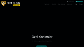 What Perabilisim.com website looked like in 2020 (4 years ago)