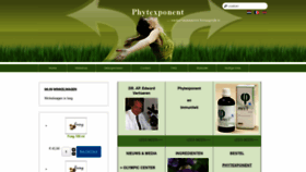 What Phyt.be website looked like in 2020 (4 years ago)
