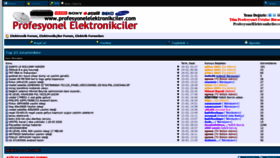 What Profesyonelelektronikciler.com website looked like in 2020 (4 years ago)