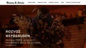 What Pizza-zlin.cz website looked like in 2020 (4 years ago)