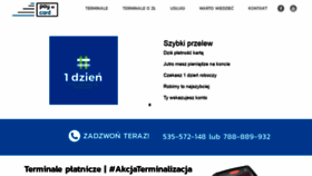 What Pay-card.pl website looked like in 2020 (4 years ago)
