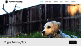 What Puppyintraining.com website looked like in 2020 (4 years ago)