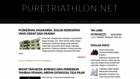 What Puretriathlon.net website looked like in 2020 (4 years ago)