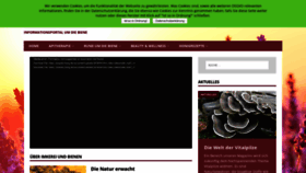 What Propolis-honig.de website looked like in 2020 (4 years ago)