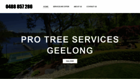 What Protreeservicesgeelong.com.au website looked like in 2020 (4 years ago)